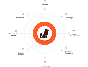 Infográfico das competências da empresa Guarda Site