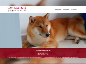 Hainu Canil Shiba Inu Portfólio Guarda Site