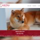 Hainu Canil Shiba Inu Portfólio Guarda Site