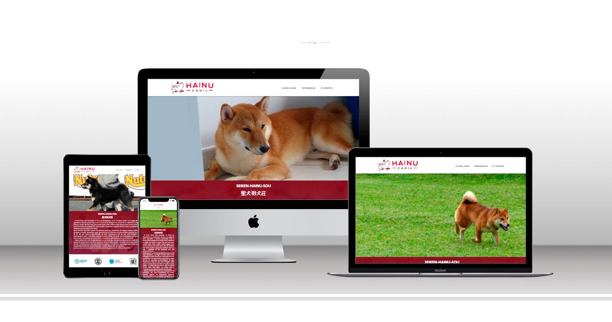 Site Hainu Canil – Criação responsável da raça Shiba Inu criado pela guardasite