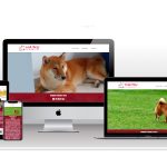 Site Hainu Canil – Criação responsável da raça Shiba Inu criado pela guardasite