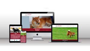 Site Hainu Canil – Criação responsável da raça Shiba Inu criado pela guardasite