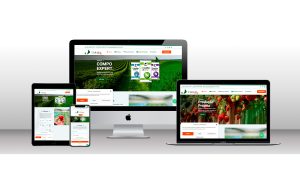 Criação do site para empresa Tabata Frut insumo Agrícolas